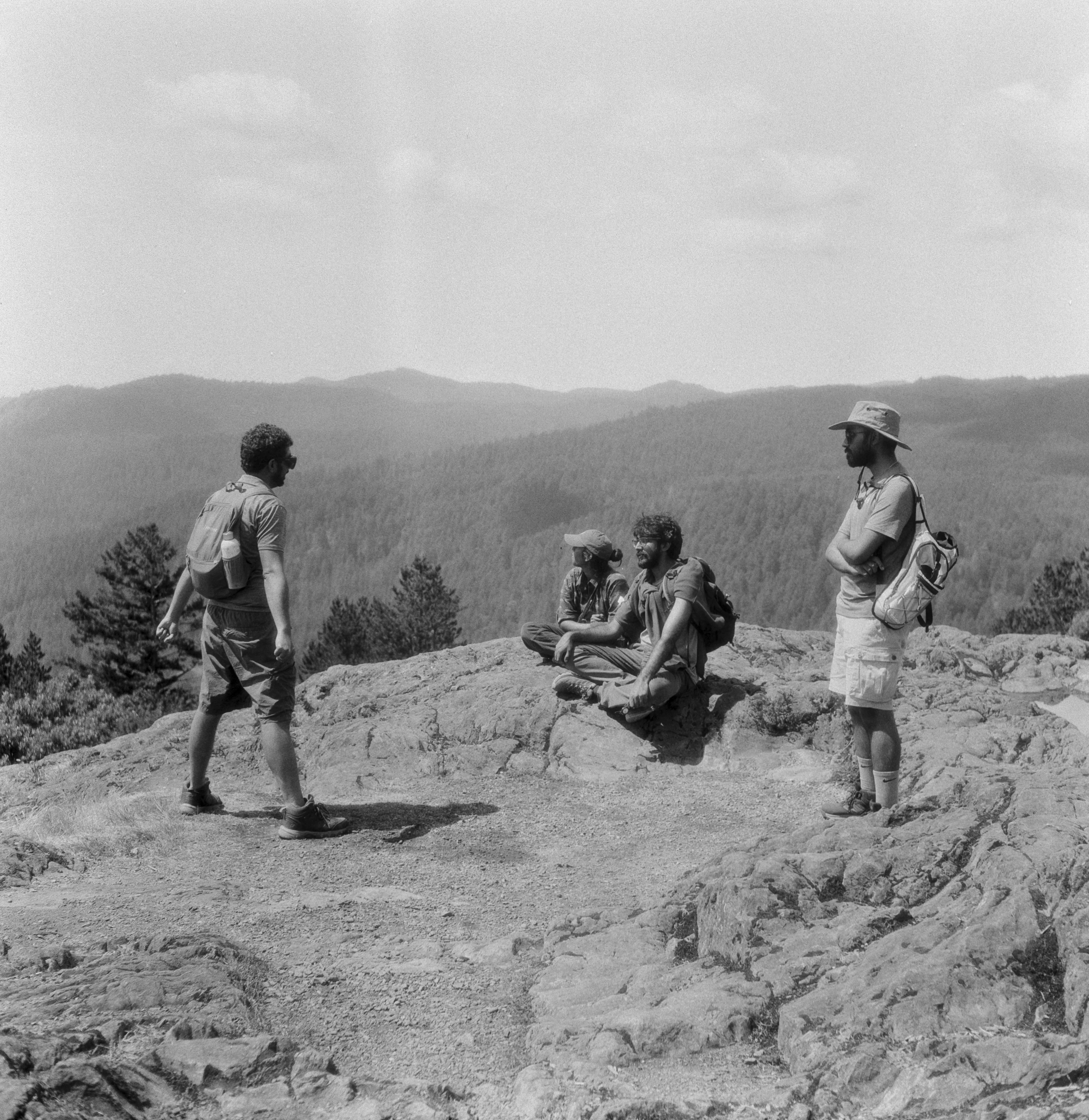 Description of the photograph