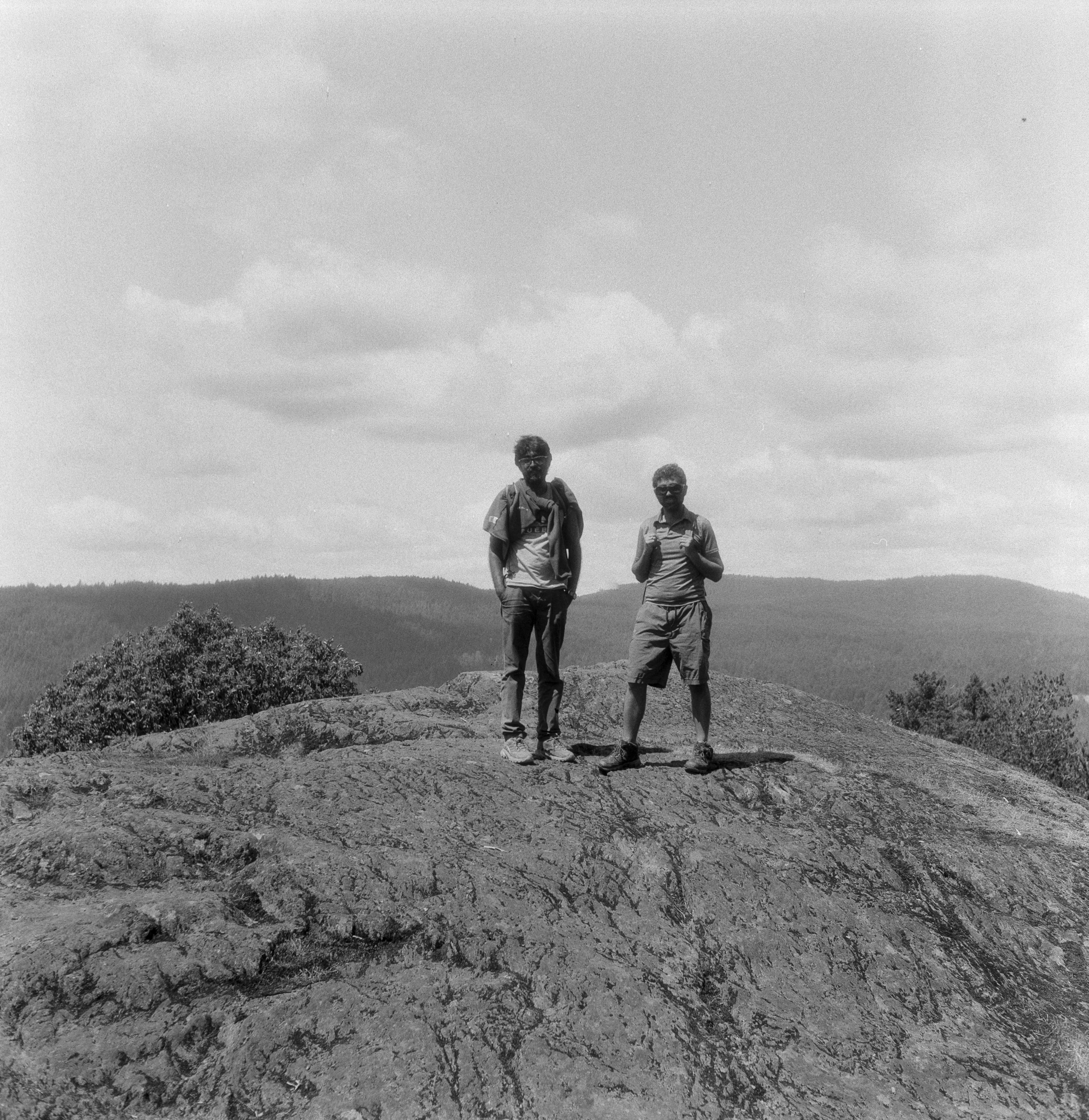 Description of the photograph