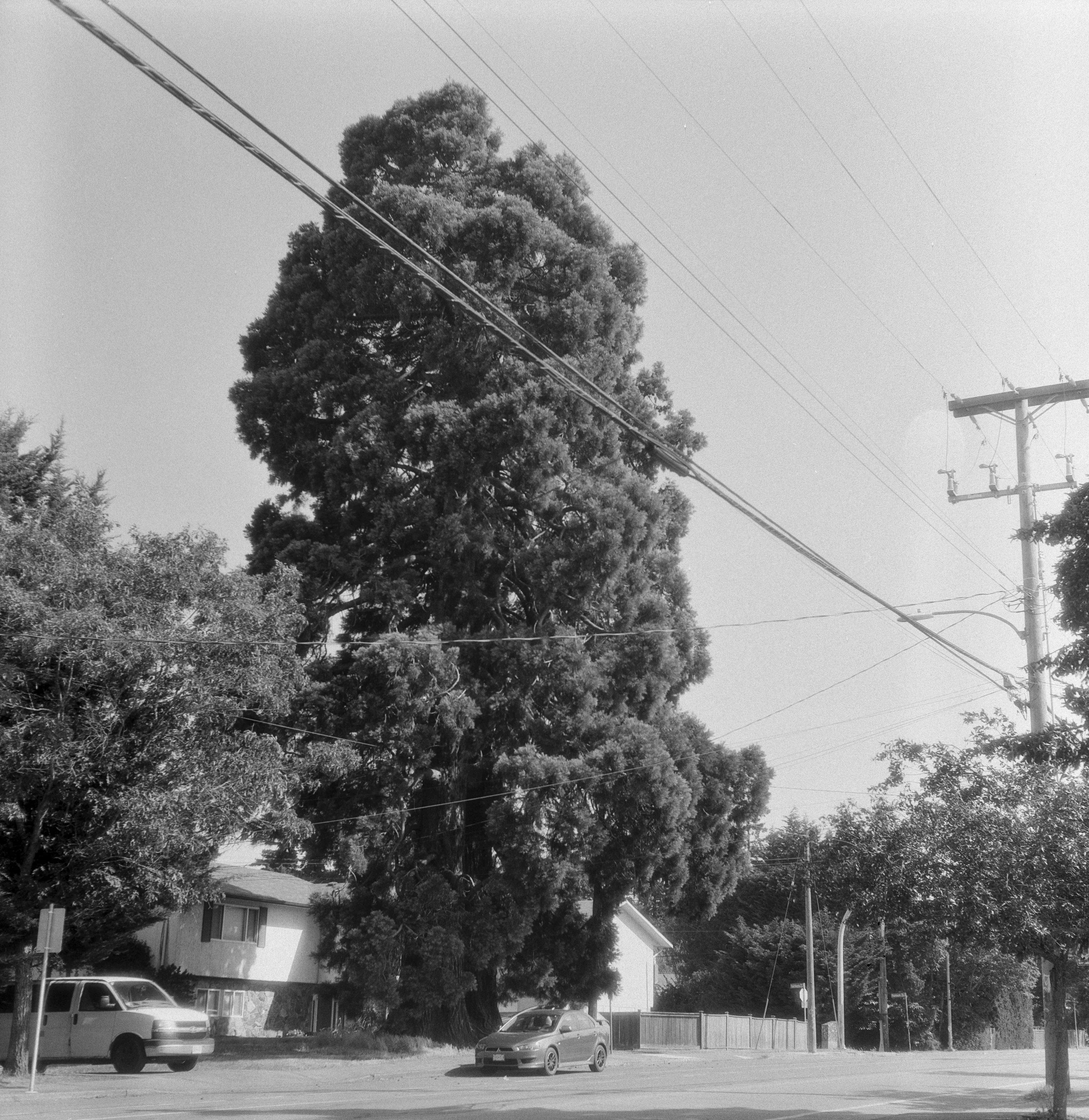 Description of the photograph