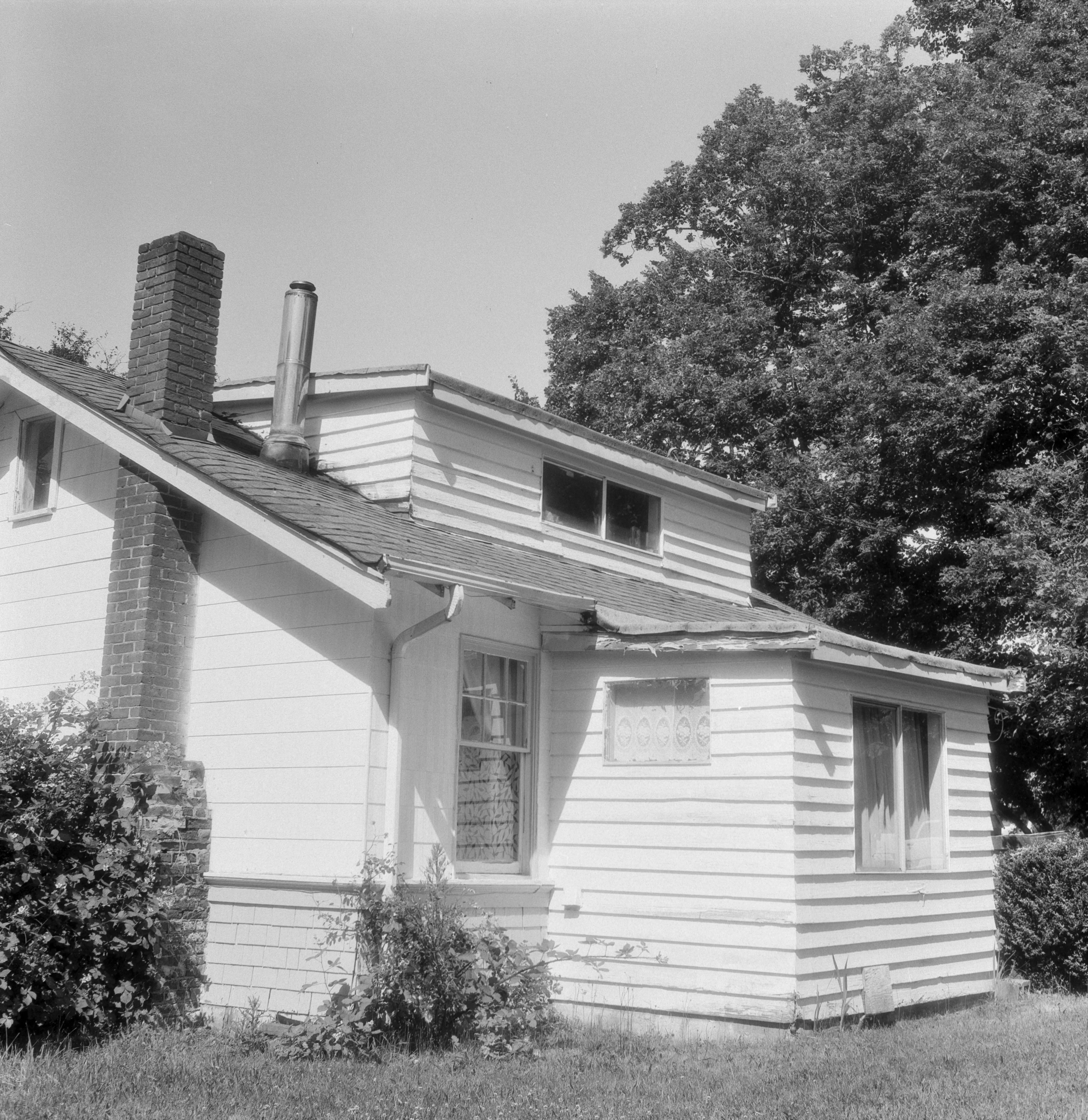 Description of the photograph