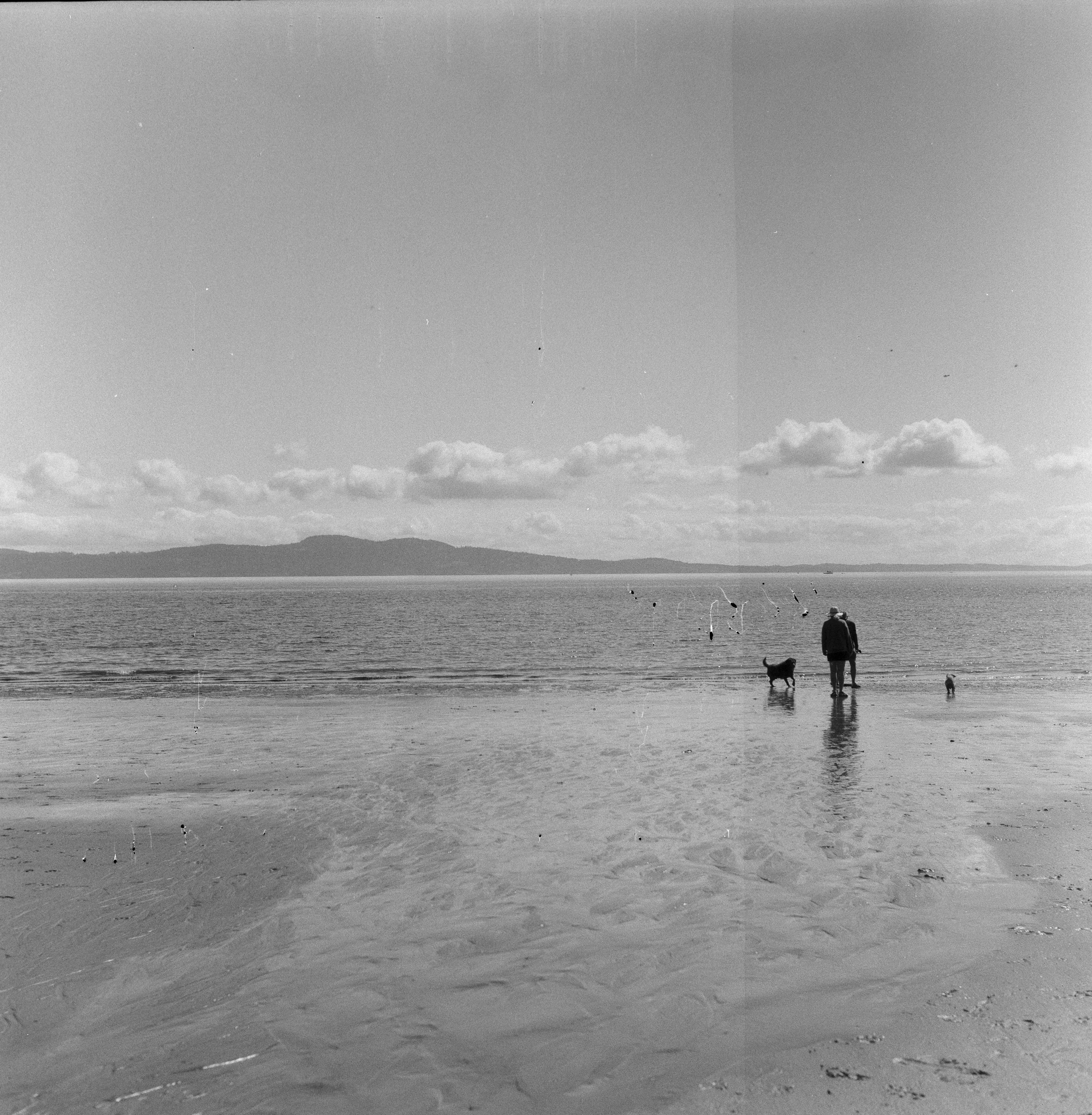 Description of the photograph