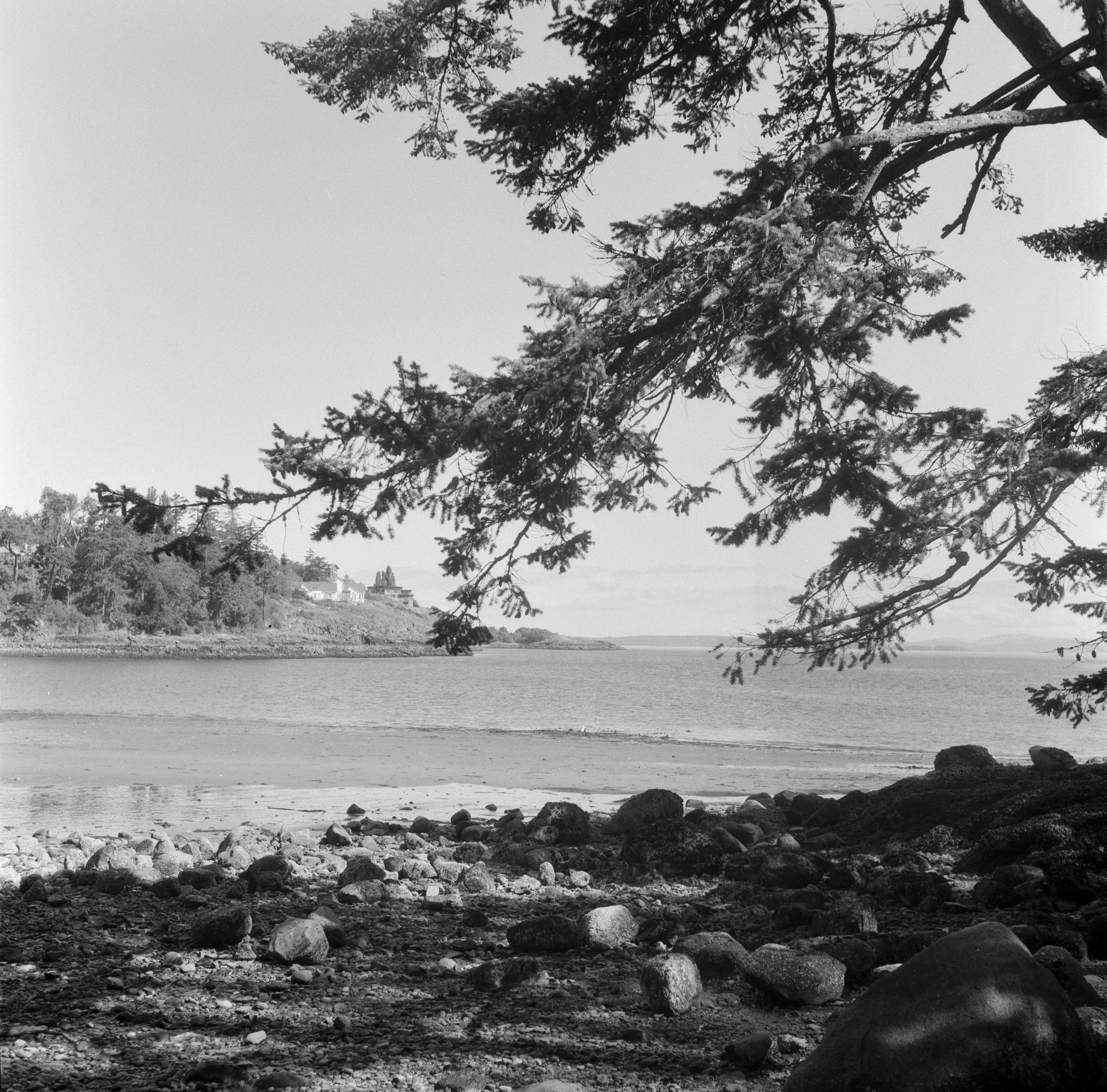 Description of the photograph