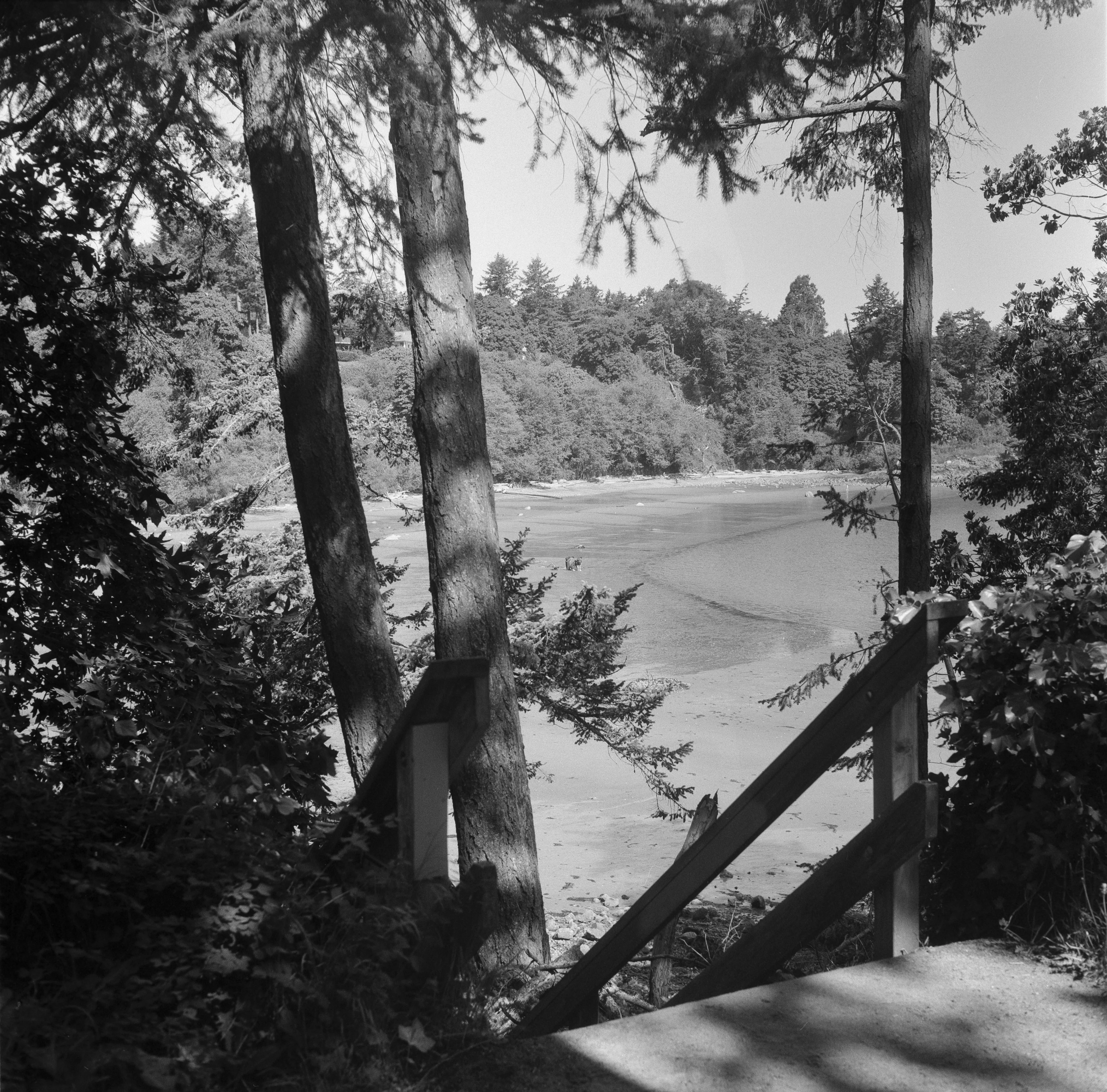 Description of the photograph