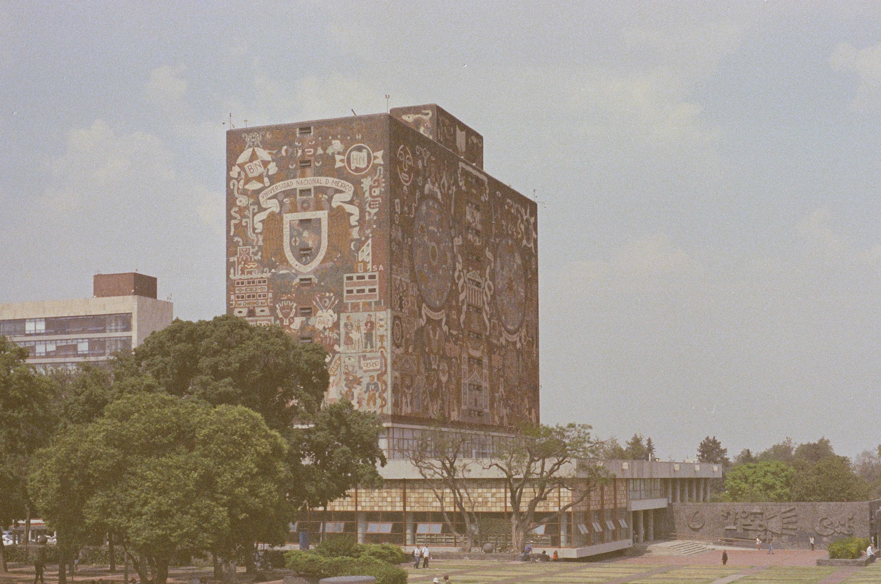 Description of the photograph