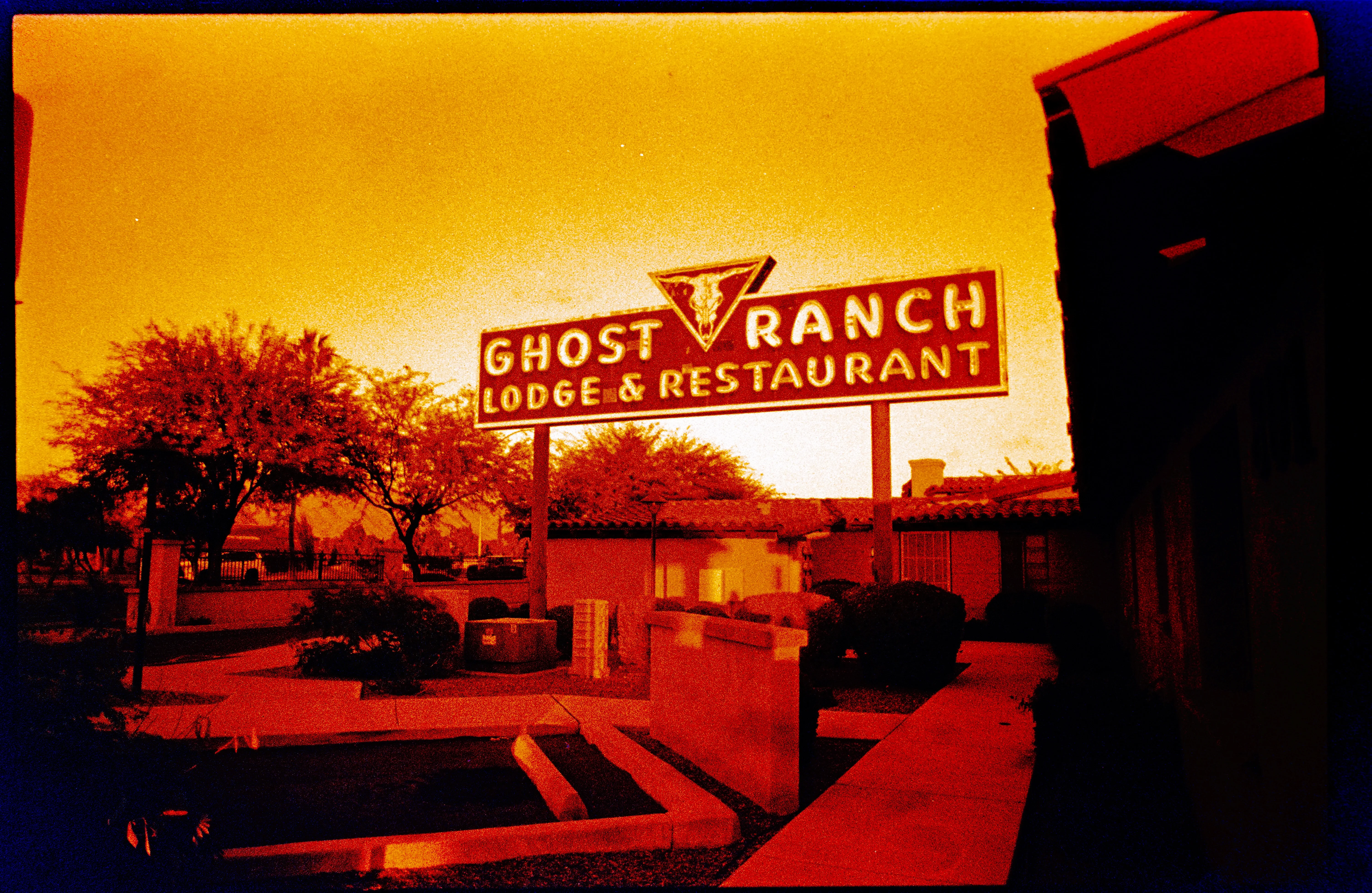 Description of the photograph